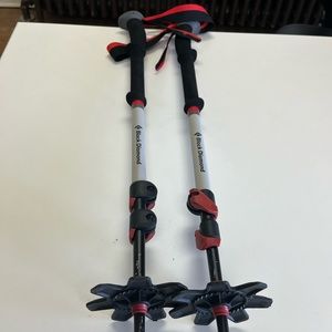 Black Diamond Expedition Ski Poles